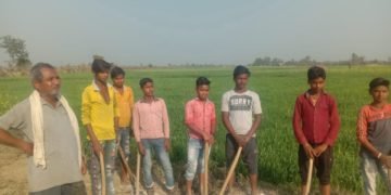 बाल श्रम कानून की खुलेआम धज्जियां उड़ाई जा रही हैं