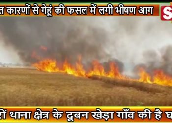 अज्ञात कारणों से गेहूं की फसल में लगी भीषण आग