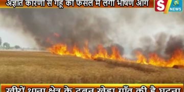अज्ञात कारणों से गेहूं की फसल में लगी भीषण आग