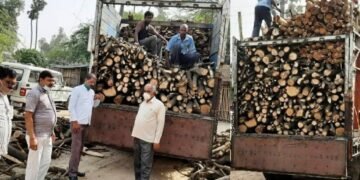सांसद सोनिया गांधी ने गेंगासों, डलमऊ, गोकना घाट पर भिजवाई तीन ट्रक लकड़ी