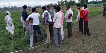 एसडीएम सलोन दिव्या ओझा की बड़ी कार्यवाही 50 बीघे तालाब की भूमि को अवैध कब्जेदारो से कराया मुक्त