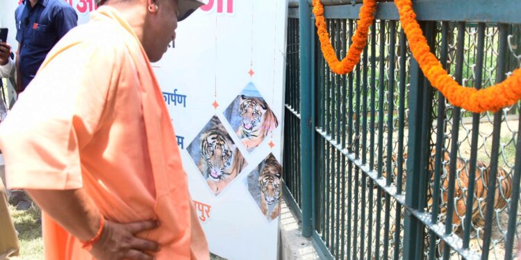 सीएम योगी ने कहा, जाओ और बाड़े में चला गया बब्बर शेर