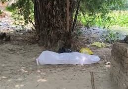 तालाब से मिला युवक का शव