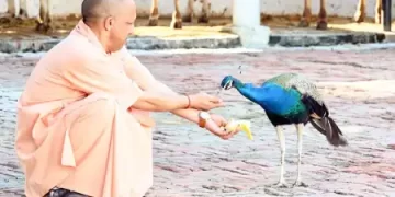 मंदिर परिसर के भ्रमण पर निकले मुख्यमंत्री