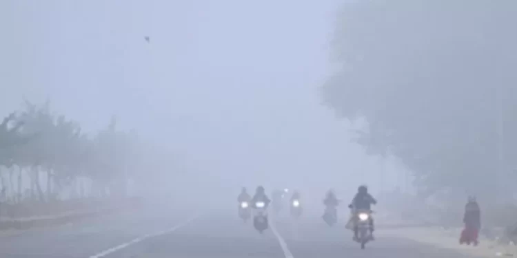 शीतलहर का प्रकोप जारी, तापमान गिरा
